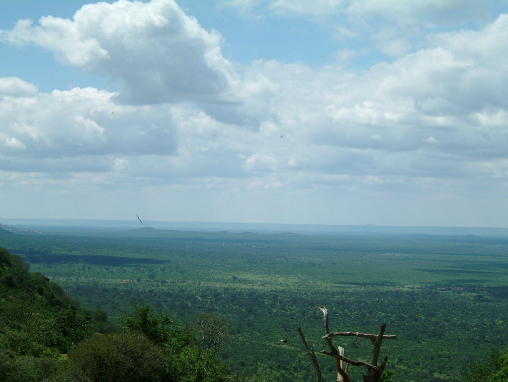 0605-kenia-tsavo-west-panorama3-dscf3983