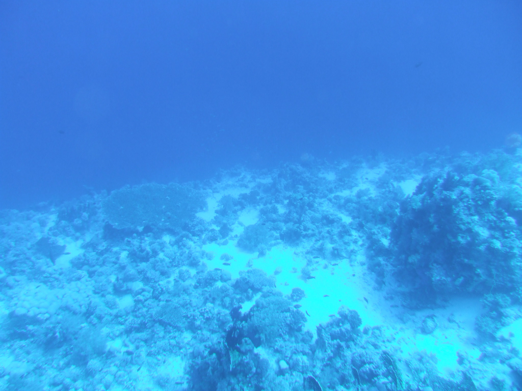 0610_hurghada-panorama_reef-dscf4857