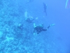 0610_hurghada-panorama_reef-dscf4856