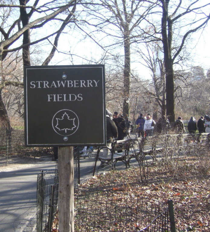 0801_new_york-central_park-strawberry_fields-dscf6150